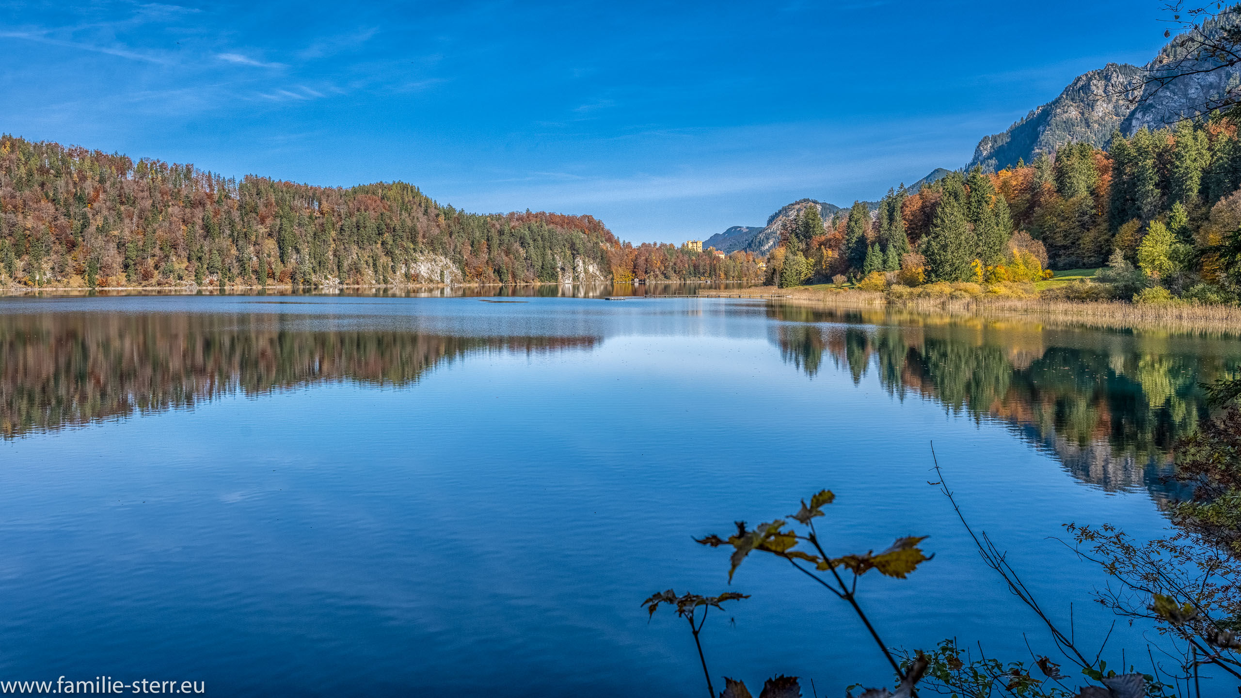 Alpsee im Herbst